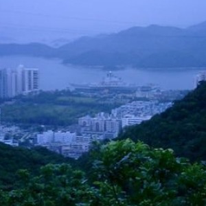 网络图片(侵删)