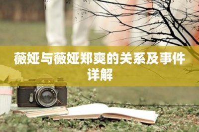 ​薇娅与薇娅郑爽的关系及事件详解