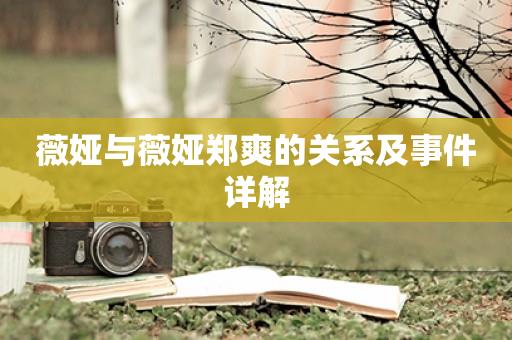 薇娅与薇娅郑爽的关系及事件详解