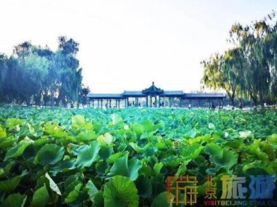 ​清风徐来水波不兴出自哪里