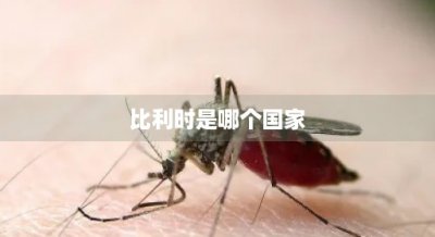​比利时是哪个国家(劳力士是哪个国家的品牌)