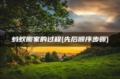 ​先后顺序步骤(蚂蚁搬家的过程)