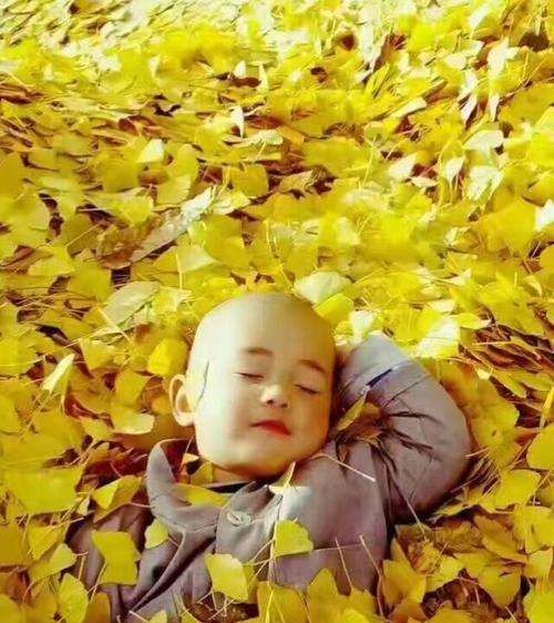 人不为己天诛地灭什么意思,人不为己天诛地灭的真正含义是什么意思图5