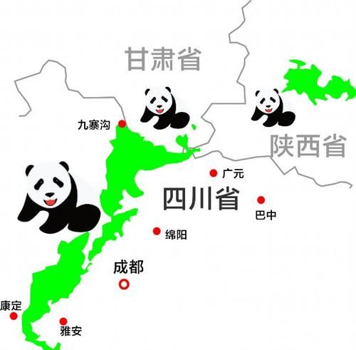 大熊猫分布在哪几个省份