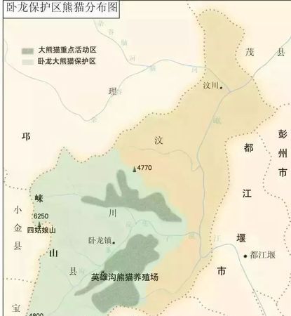 大熊猫主要分布在哪些地方