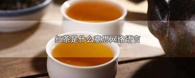 ​红茶是什么意思网络语言
