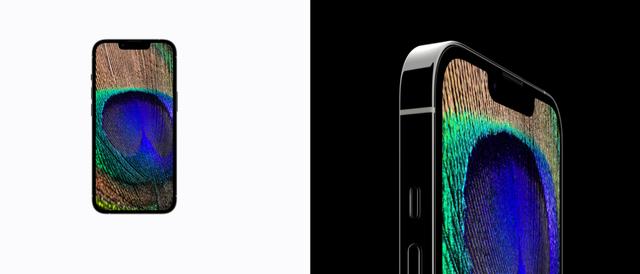 苹果发布会iphone 14几款机型 iPhone有史以来最大曝iPhone(6)
