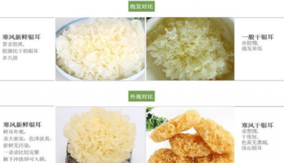 ​新鲜的银耳可以在冰箱的冷藏多久,新鲜银耳可以放冰箱冷藏吗