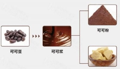 ​代可可脂对人体的危害,什么是食品用代可可脂对人体有危害
