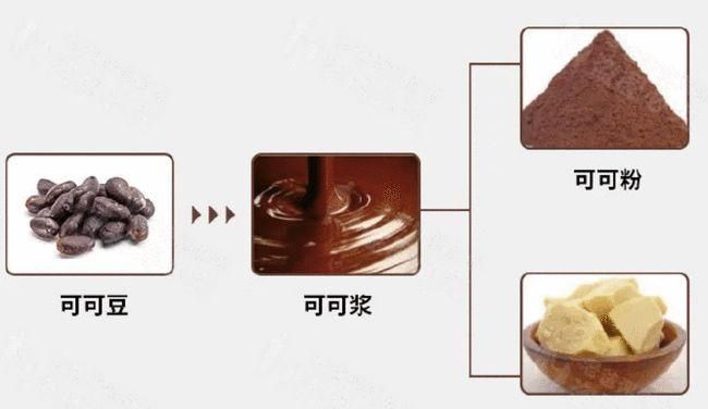 代可可脂对人体的危害,什么是食品用代可可脂对人体有危害