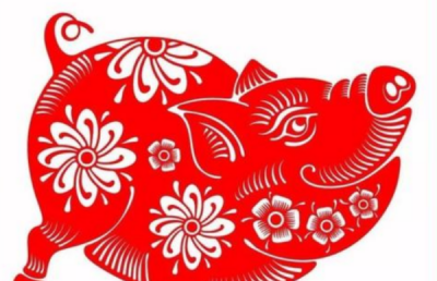 ​209属什么,属什么生肖最好命