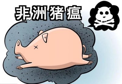 ​非洲猪瘟主要症状是如何表现的（非洲猪瘟最简单的辨认方法）