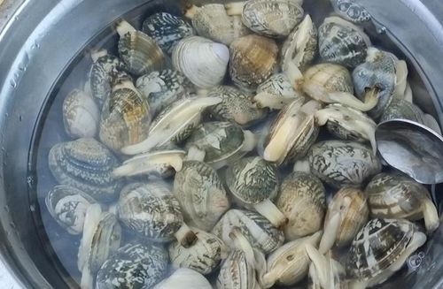 隔夜的花蛤加热能吃