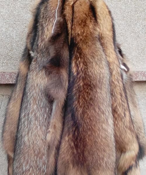 什么叫猾子毛