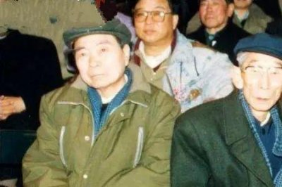 ​杨少华多大岁数去世