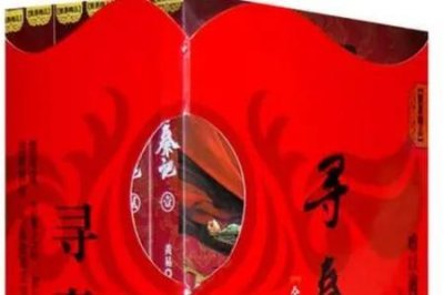 ​穿越到寻秦记里的小说