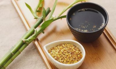 ​刚摘的桂花可以直接泡水吗，桂花摘下不用晒干可以泡茶水喝吗？