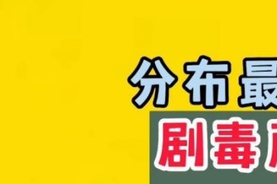 ​肉褐鳞环柄菇与雷蘑菇区别