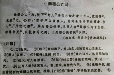 ​秦穆公尝出而亡其骏马翻译（秦穆公尝出而亡其骏马的译文）