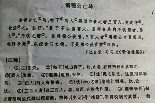 秦穆公尝出而亡其骏马翻译（秦穆公尝出而亡其骏马的译文）