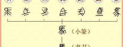 统一货币、度量衡及文字（秦始皇巩固统一的措施有哪些）