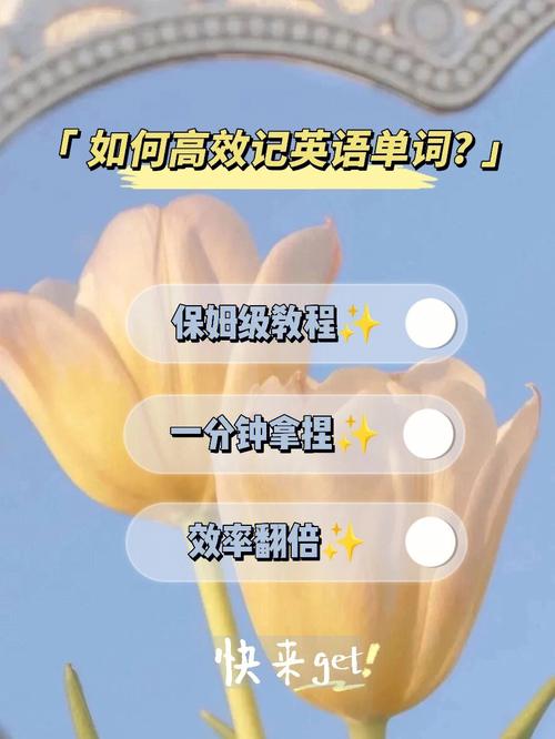 如何高效记住英语单词