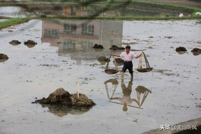 ​肥水不流外人田是俗语吗（肥水不流外人田什么意思）