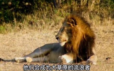 ​坏男孩联盟的真实结局