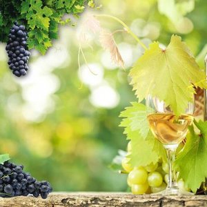 ​1998年白酒行业收入(白酒行业收入增长率)