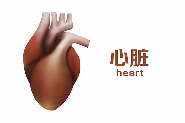 每天慢跑五公里消耗多少卡路里（慢跑5公里消耗多少卡路里）