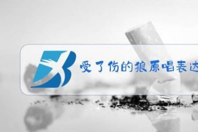 ​受了伤的狼歌曲表达的意思