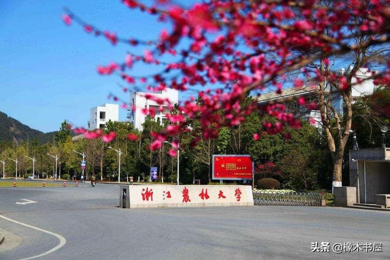 浙江农林大学是不是211（浙江农林大学是211还是985院校）