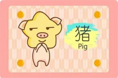 ​乙亥年是指哪一年？已亥年属猪是什么命？
