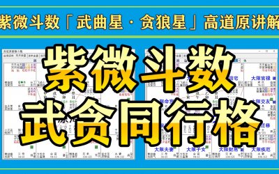 ​贪武同行格好不好
