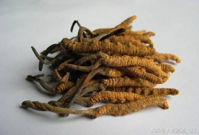 ​拉萨特产有什么（拉萨可以送人的特产）