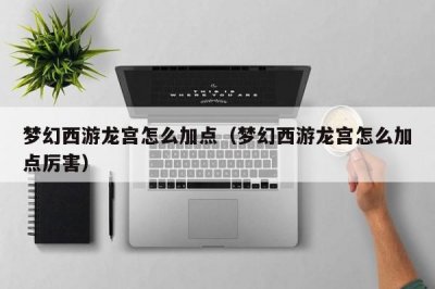 ​梦幻西游龙宫怎么加点（梦幻西游龙宫怎么加点厉害）
