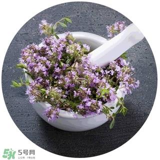 lululun plus面膜怎么样？lululun plus面膜哪款好