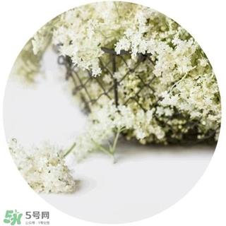 lululun plus面膜怎么样？lululun plus面膜哪款好