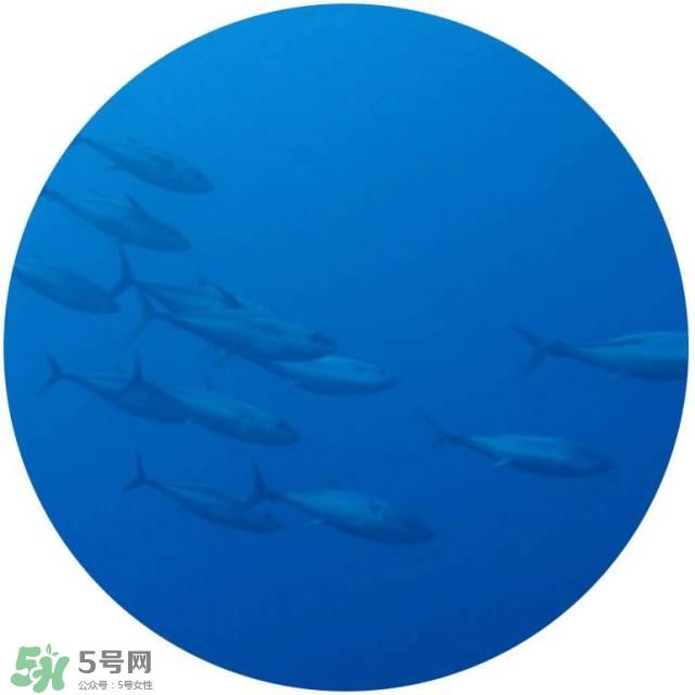 lululun plus面膜怎么样？lululun plus面膜哪款好