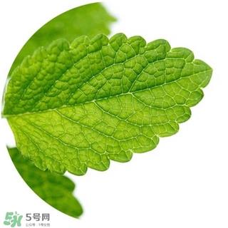 lululun plus面膜怎么样？lululun plus面膜哪款好
