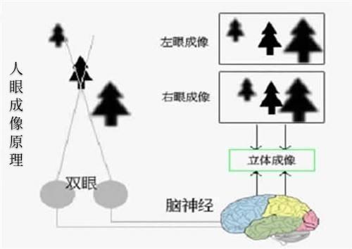 光以何种形式传播？具有那些性质？