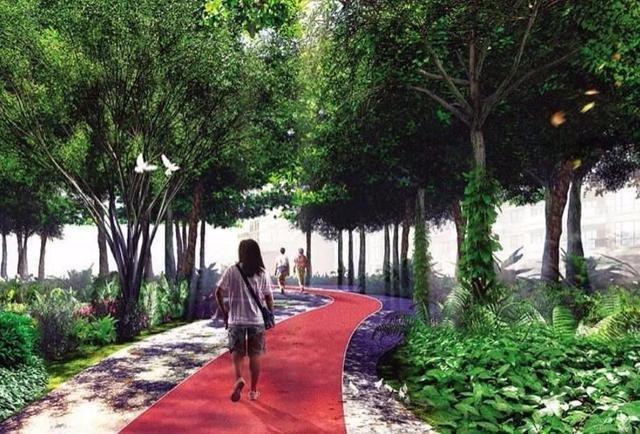 南宁最漂亮大气的一条城市大道，你家乡城市有这么漂亮吗