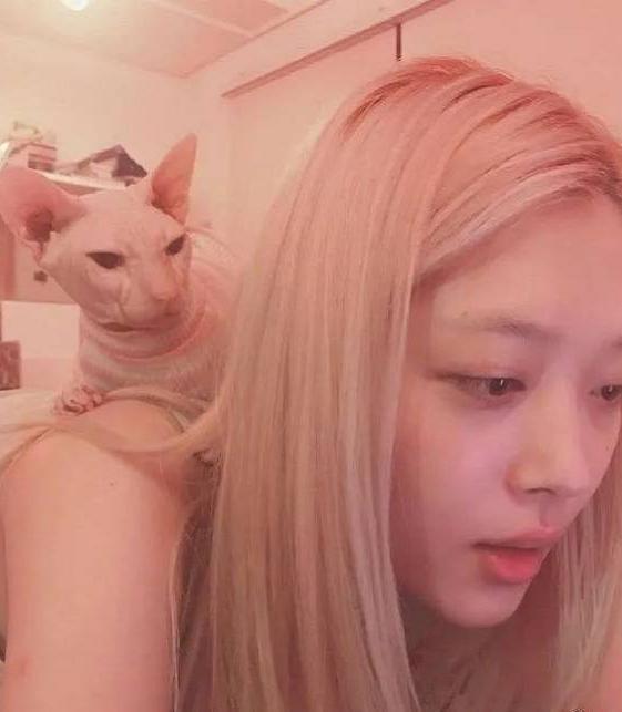 金希澈承认收养雪莉的猫，染同款粉色头发，这是要“继承遗志”？