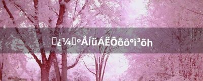​准考证号忘了怎么办初一（怎么查自己的准考证号初中)