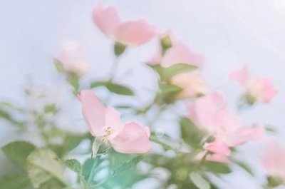 ​如何把两个人的照片ps成结婚照？结婚照证件怎么ps