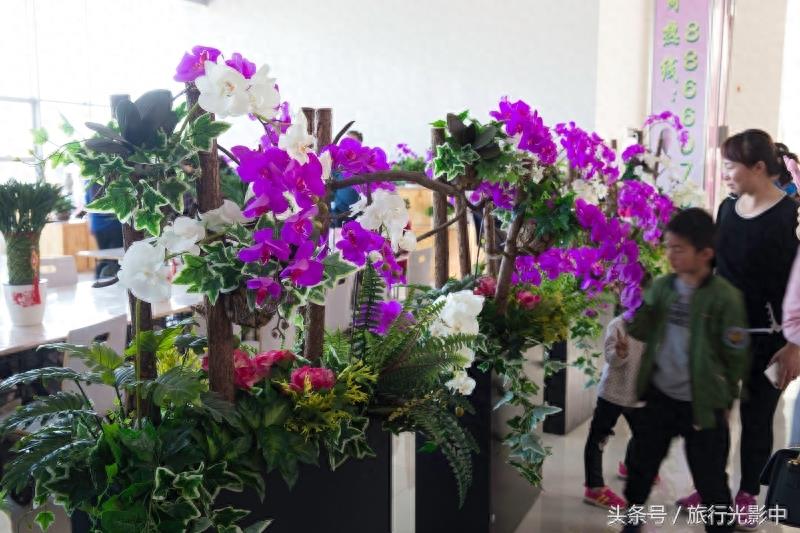济南鲜花港现代化花卉交易区，什么花都能买到！