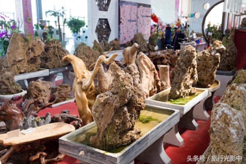 济南鲜花港现代化花卉交易区，什么花都能买到！