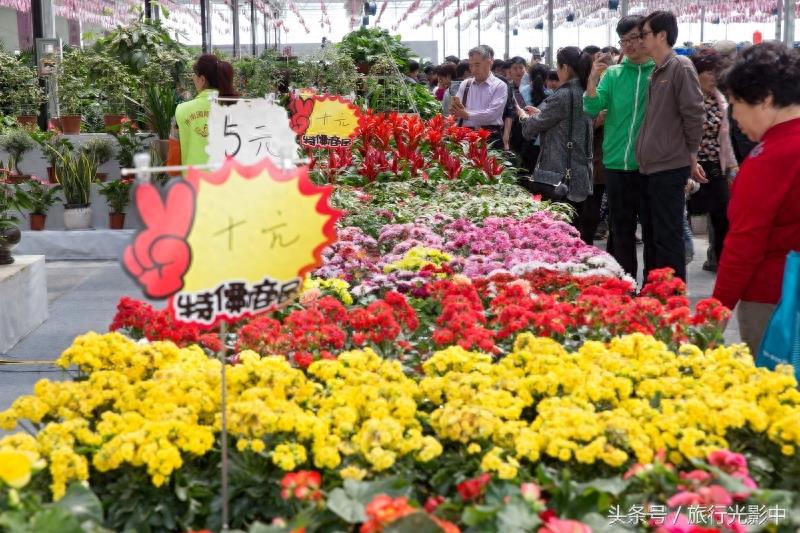 济南鲜花港现代化花卉交易区，什么花都能买到！