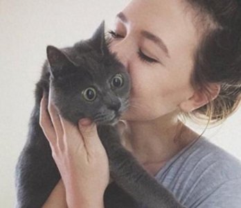 ​揭秘“惊讶猫”的来历之谜：美女强吻惊恐万分，自此留下的病根