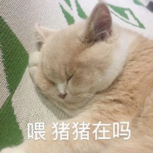 ​表情包：老子今天也爱你